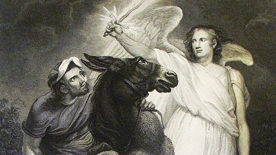 Diane M. Sharon at Sinai and Synapses