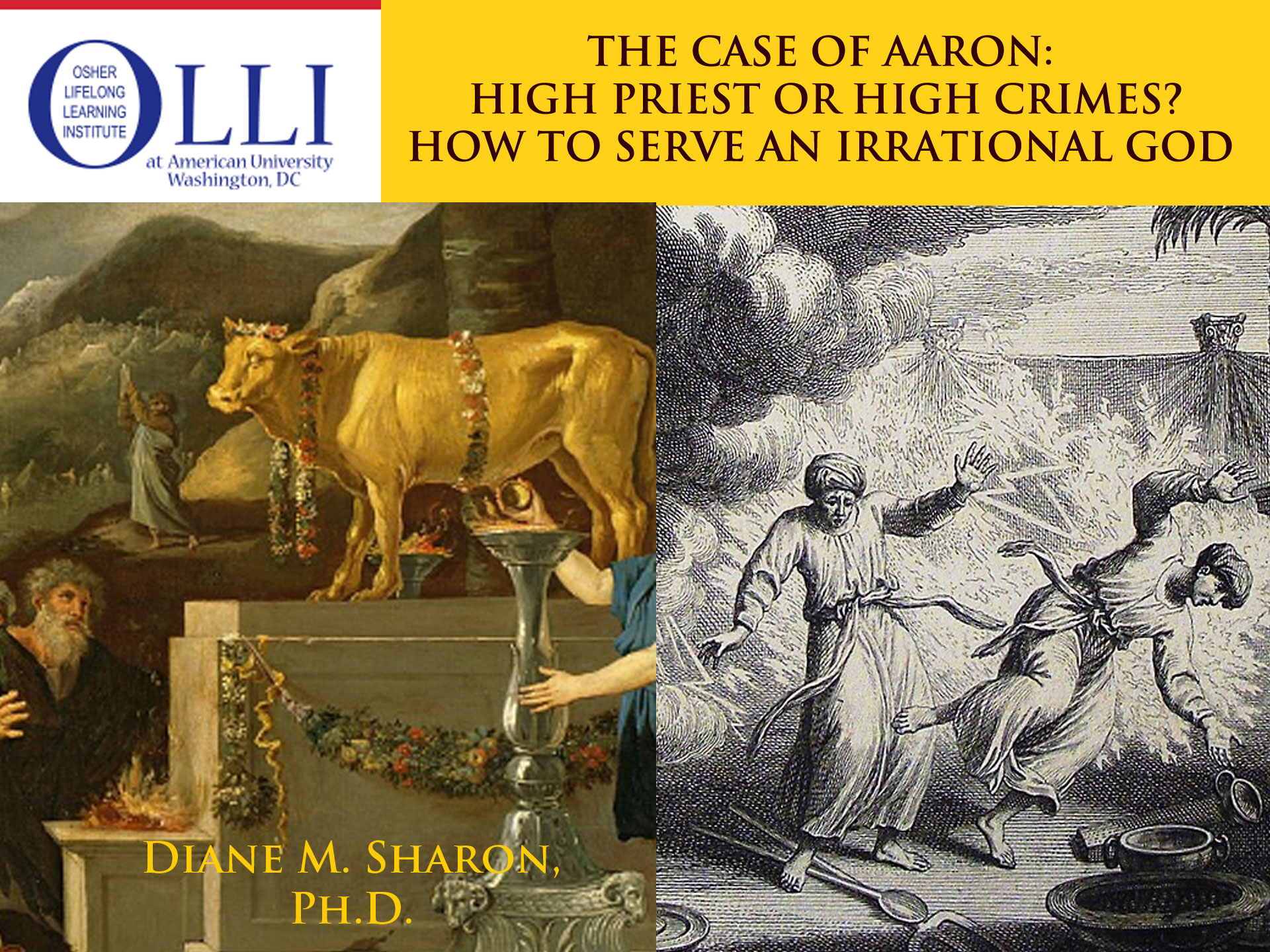 Diane M. Sharon at Sinai and Synapses