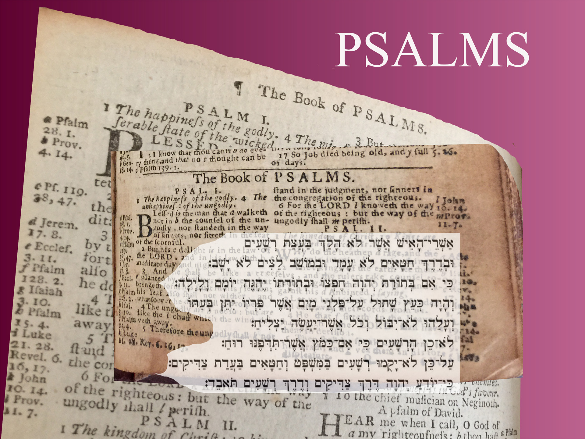 Diane M. Sharon Text Wrestlers PSALMS