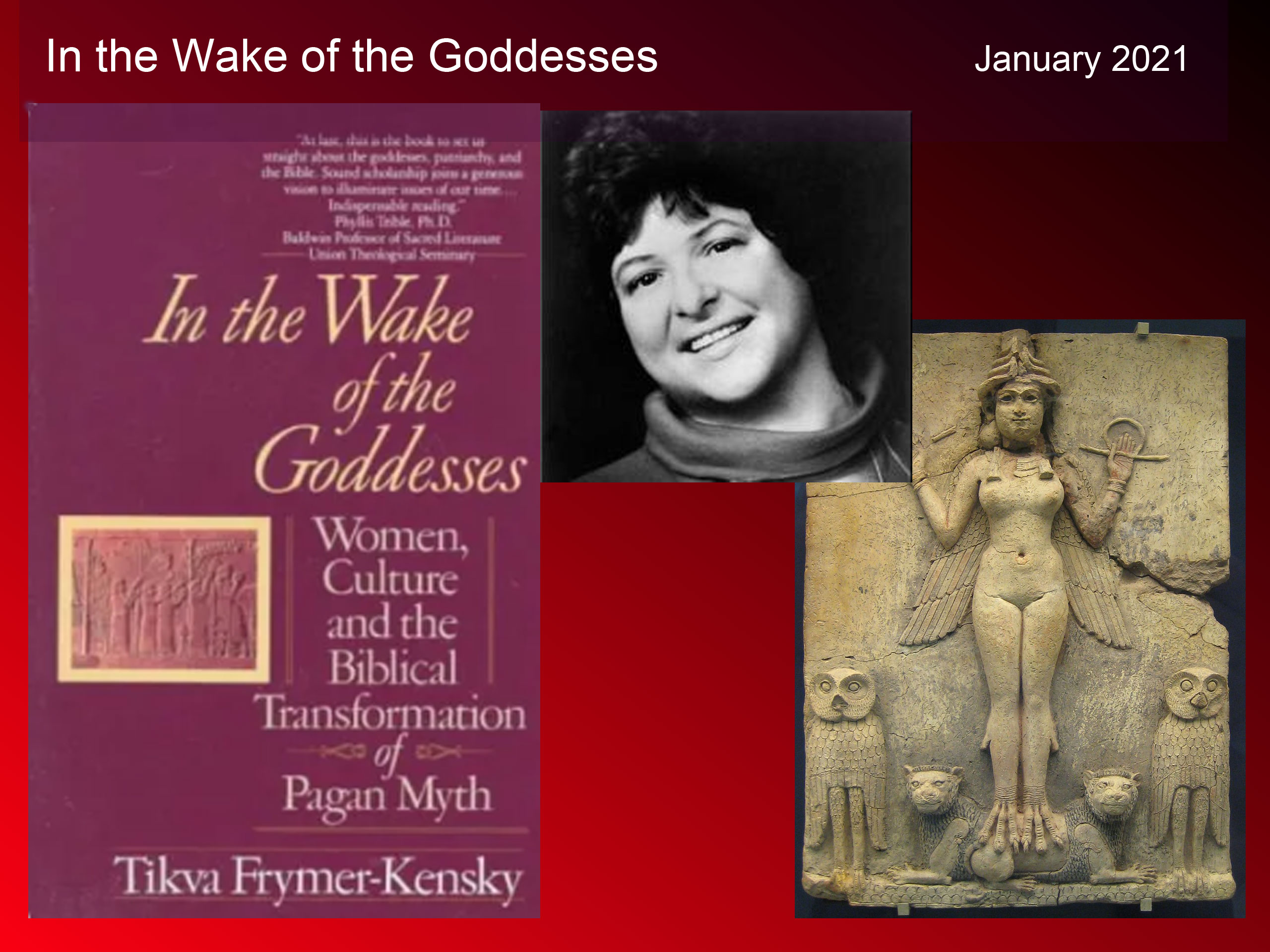 Diane M. Sharon In the Wake of the Goddesses